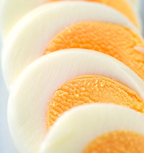 Jan 20 – Egg