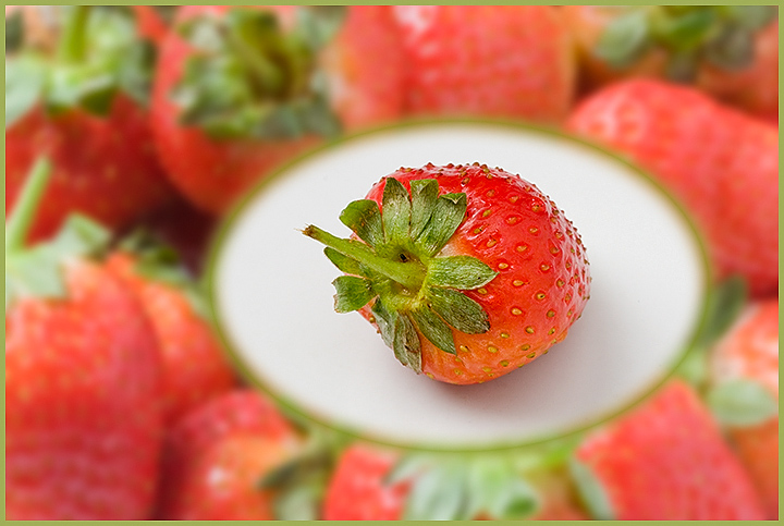 Feb 04 – Strawberry