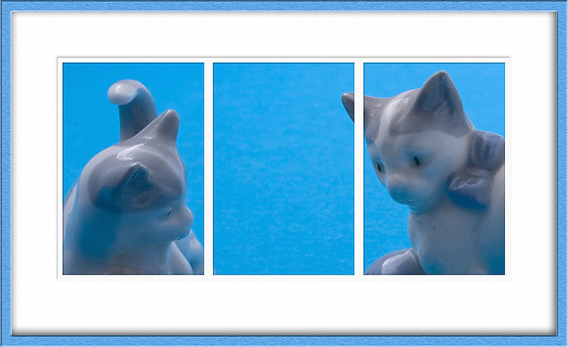 Feb 19 – Cats in blue