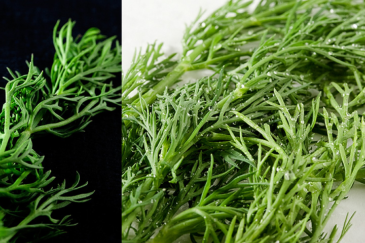 Feb 26 – Dill