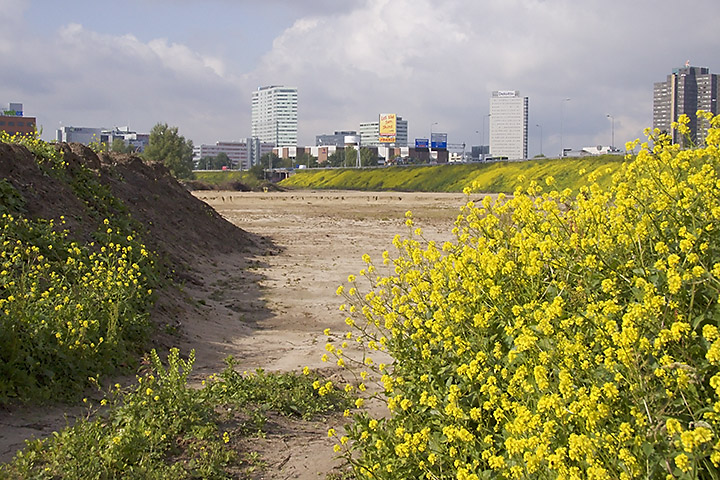 Jun 08 – Yellow