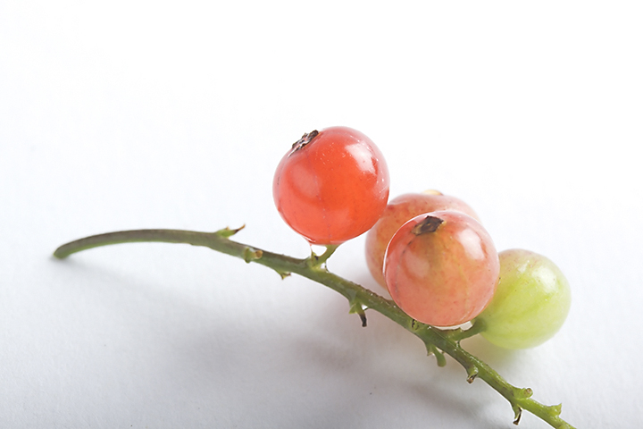 Jun 28 – Redcurrants