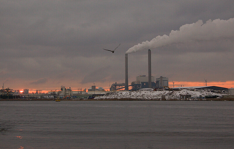 The sun was coming up on my way to work. The seagull was so nice to fly into the photo.