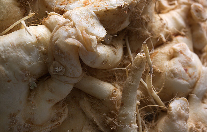 Jan 09 – Celeriac