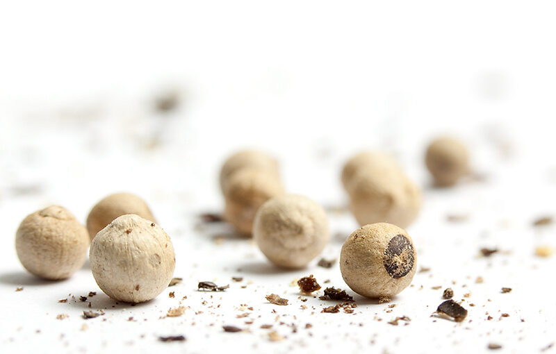 Jun 04 – White pepper