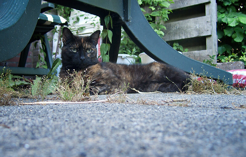 Jul 09 – Posing