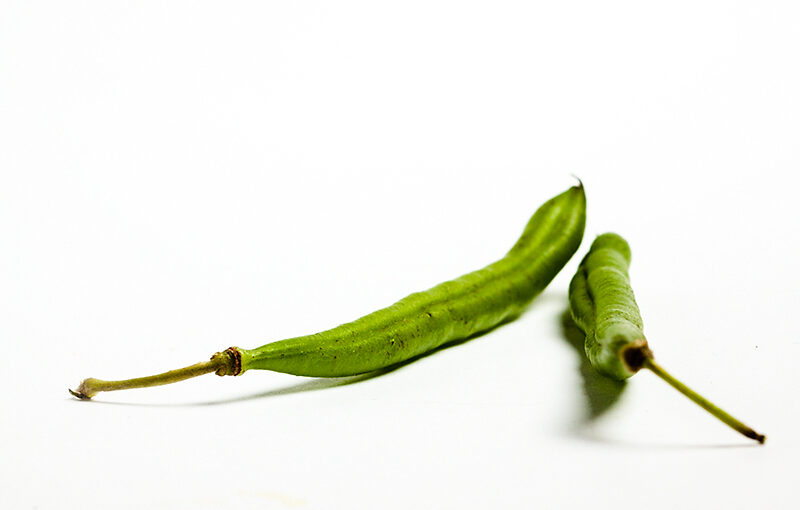 Oct 08 – Green beans