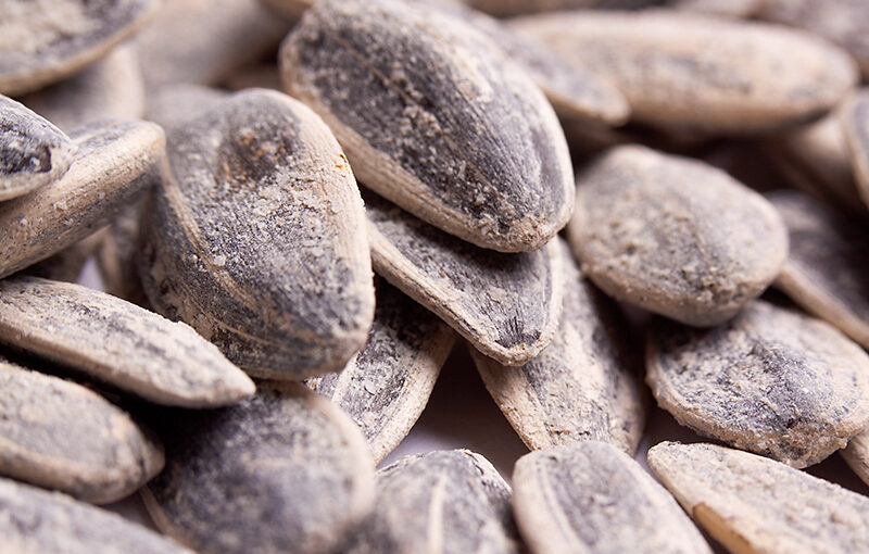 Feb 18 – Sunflower seed
