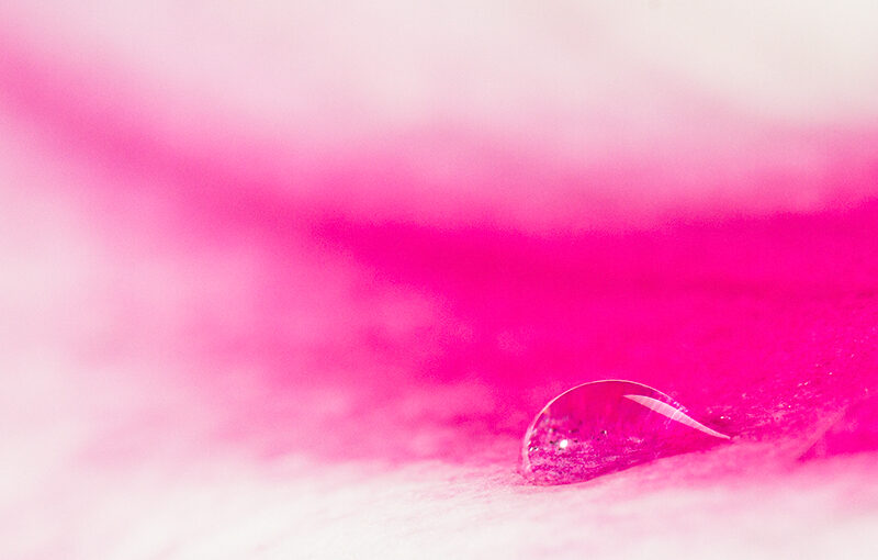 Apr 15 – Droplet