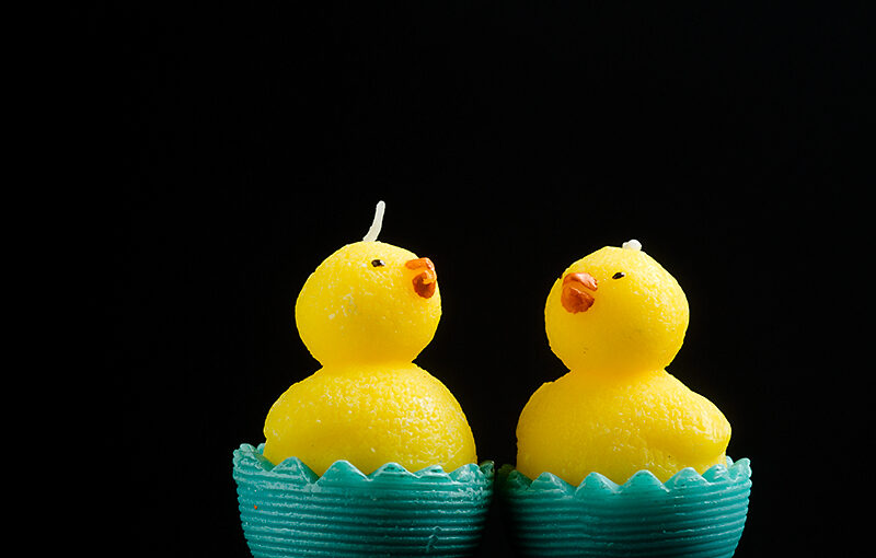 Apr 22 – Chicks
