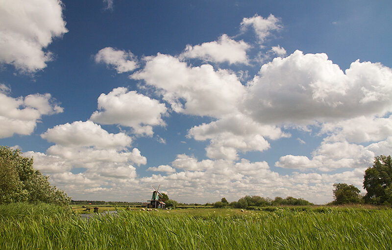 May 14 – Landscape