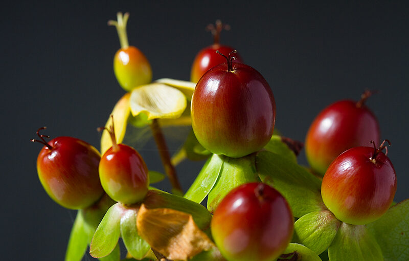 Jun 15 – Berries