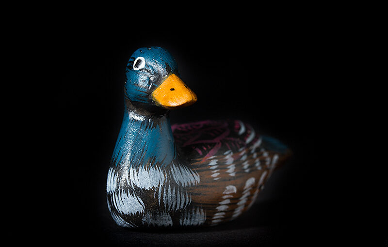 Aug 22 – Duck