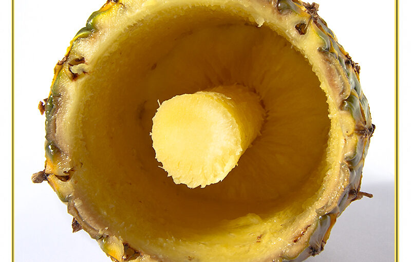 Aug 28 – Core of a pineapple