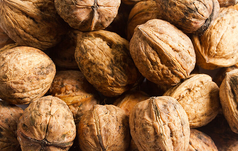 Oct 14 – Nuts