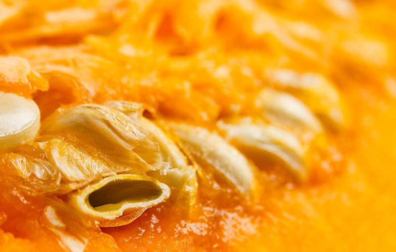 Oct 30 – Pumpkin part