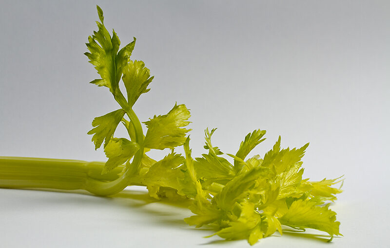 Dec 06 – Celery