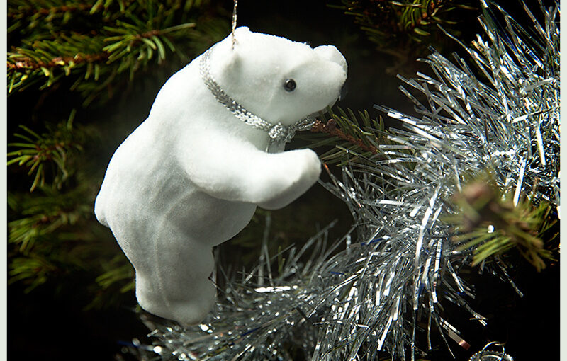 Dec 25 – A bear in a tree