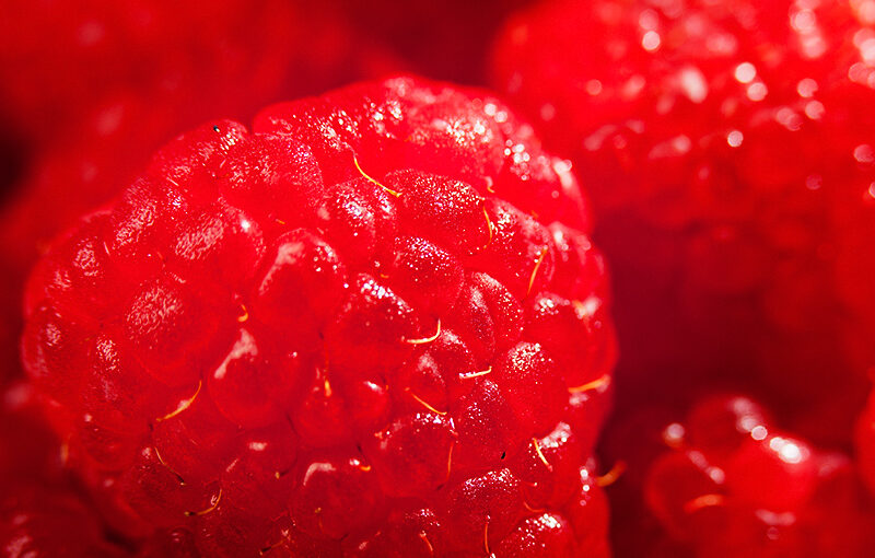 Fresh from the supermarket.