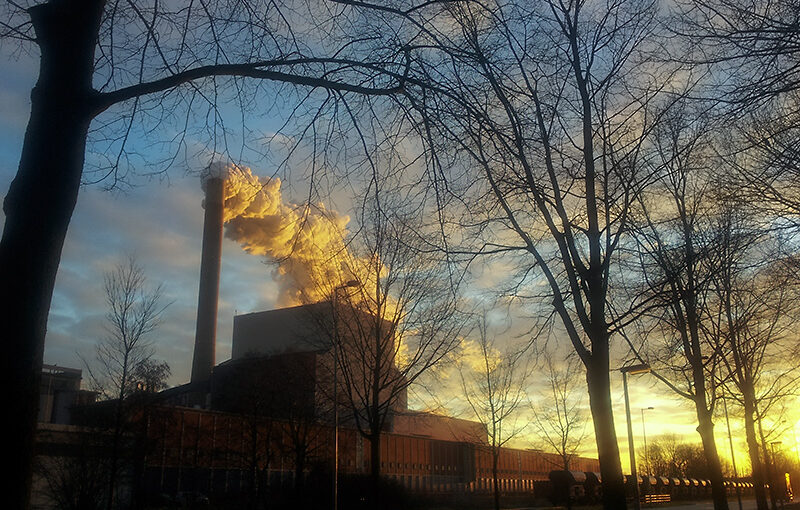 Smoke lit by the early morning sun.