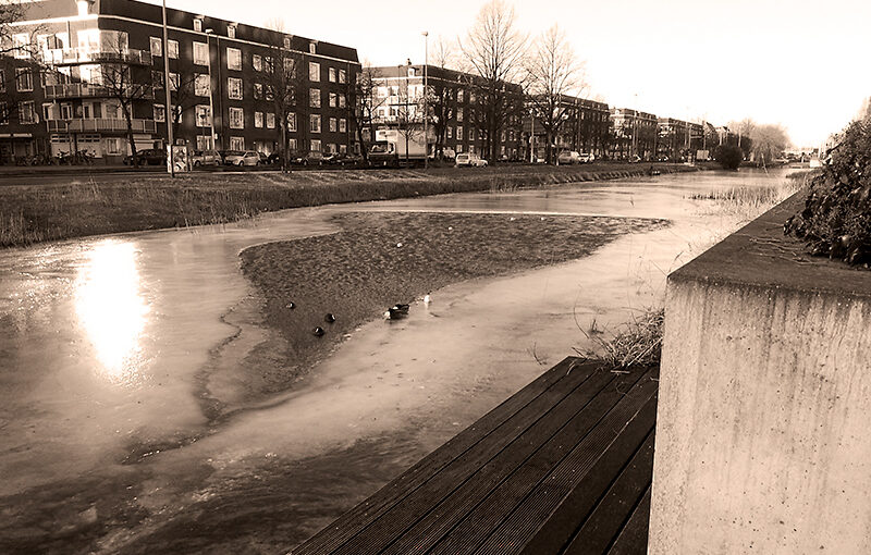 Feb 02 – Ducks on ice