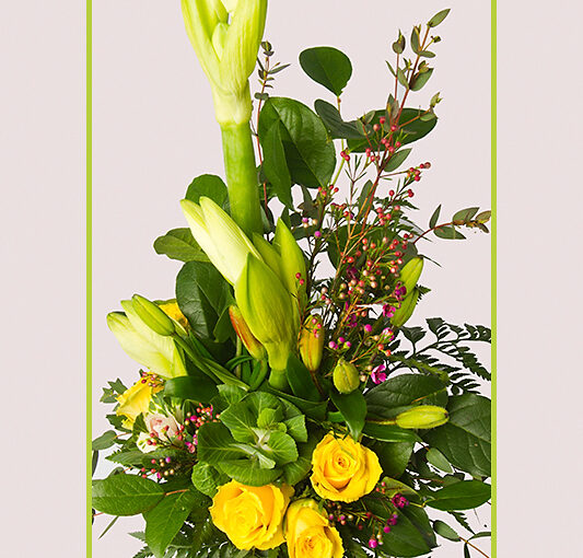Feb 15 – Bouquet