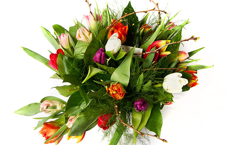 Feb 18 – More bouquet…