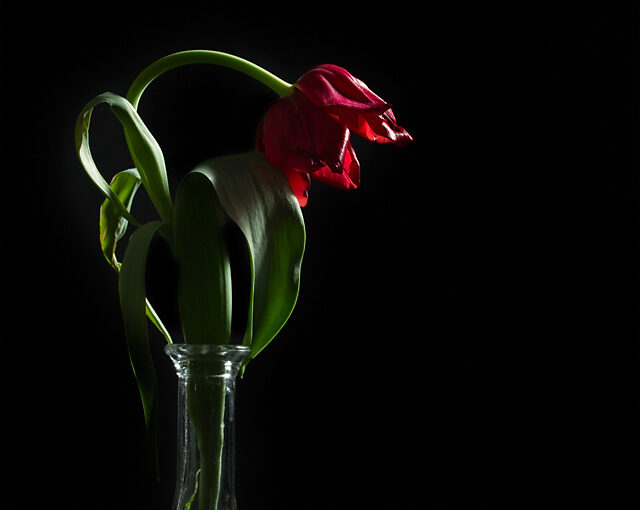Mar 20 – Gone