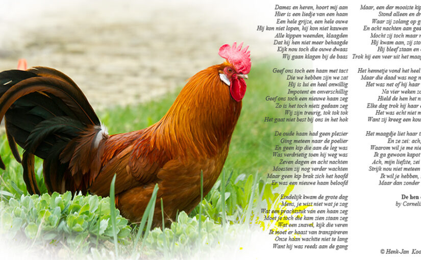 Apr 04 – Song of the rooster