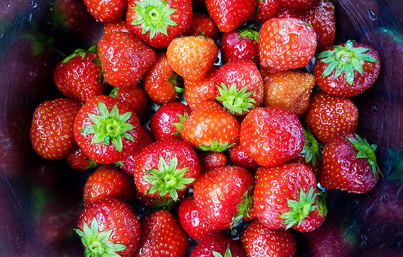 Sep 06 – Strawberries