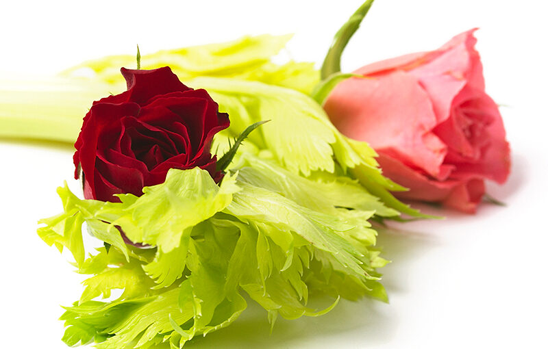 Sep 29 – Flowerfood