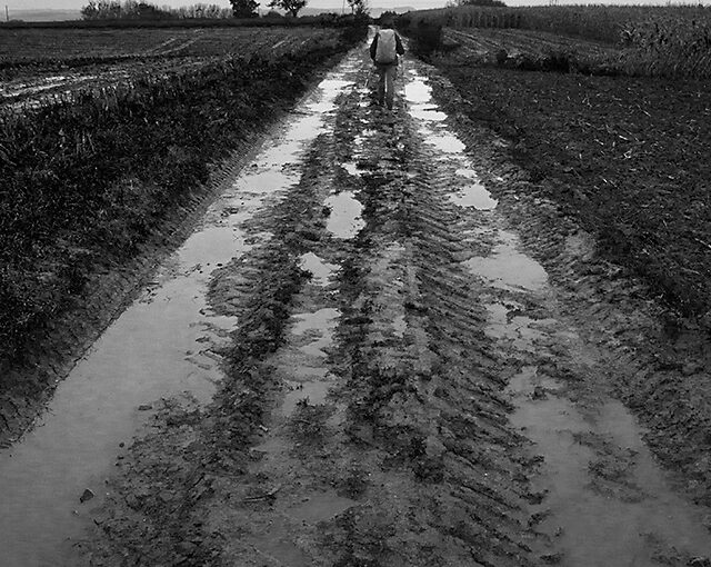 On our walk from Mesch to Visé (Belgium). Lots of rain and mud, but still beautiful.
