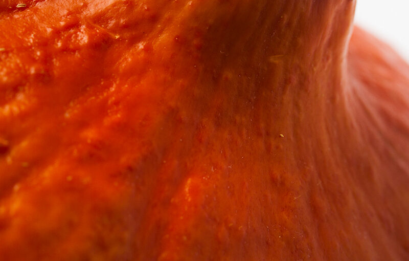 Oct 31 – Pumpkin