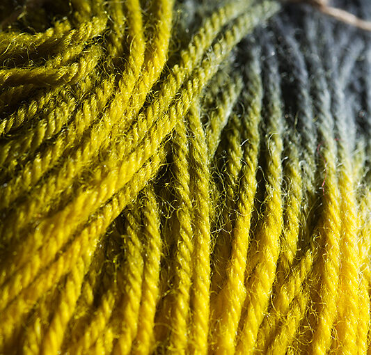 Nov 08 – Wool