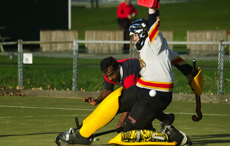 Nov 11 – Red and yellow