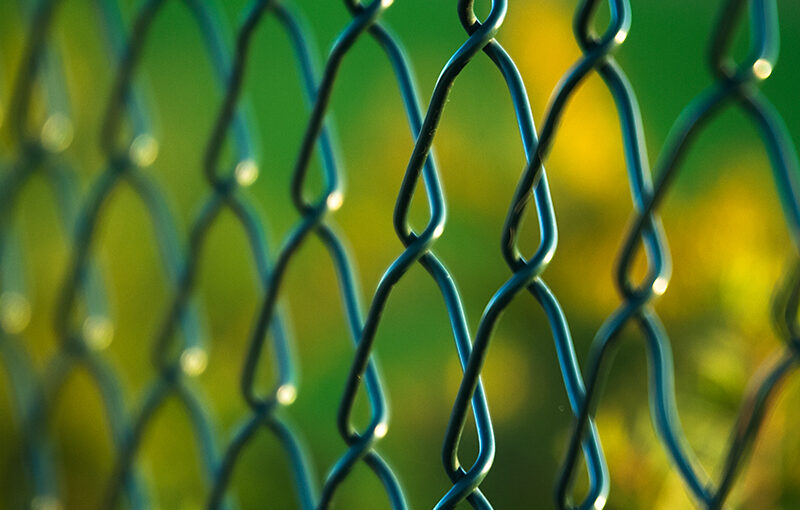 Nov 18 – Fence