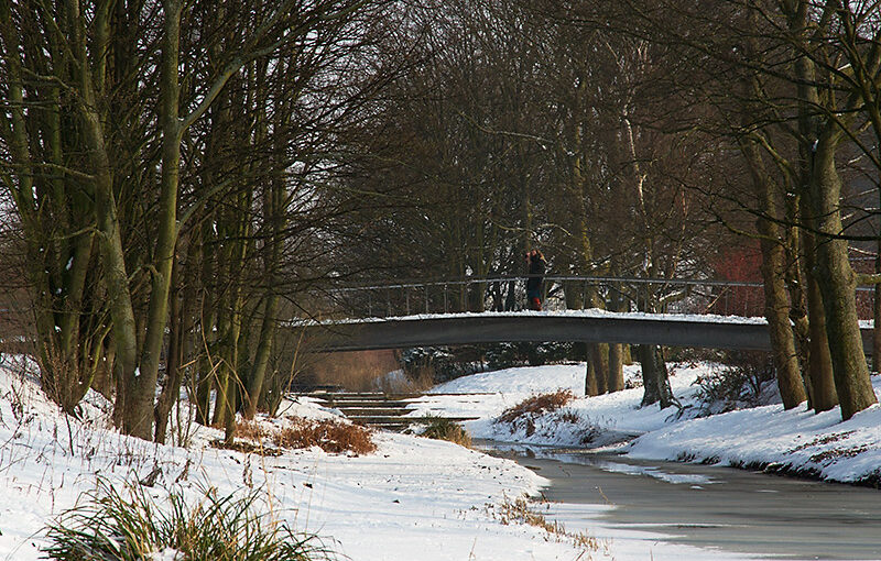 Jan 22 – In the park