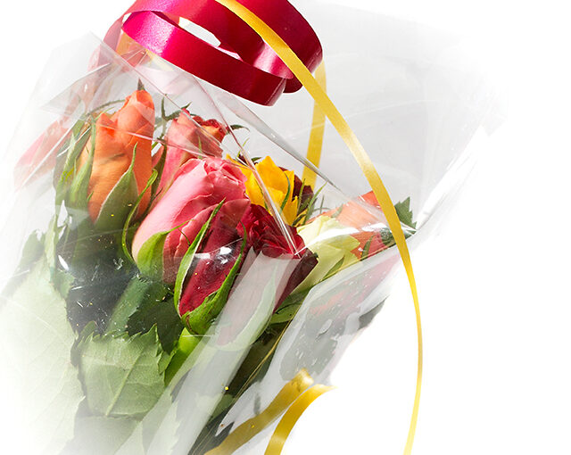 Mar 02 – Virtual flowers