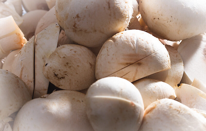 Mar 06 – Mushrooms