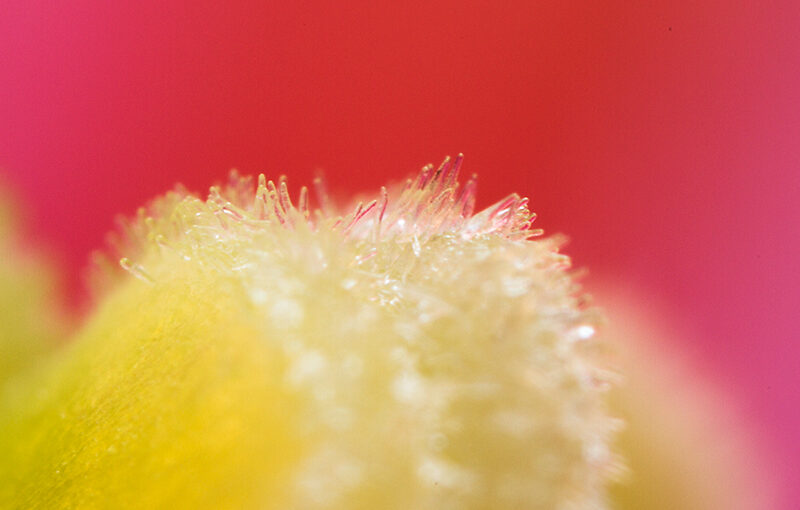 Mar 24 – Details
