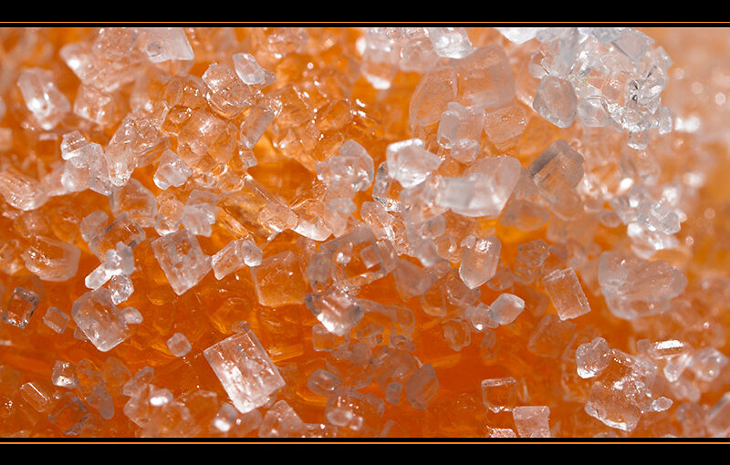 Mar 25 – Sugar: The inner world