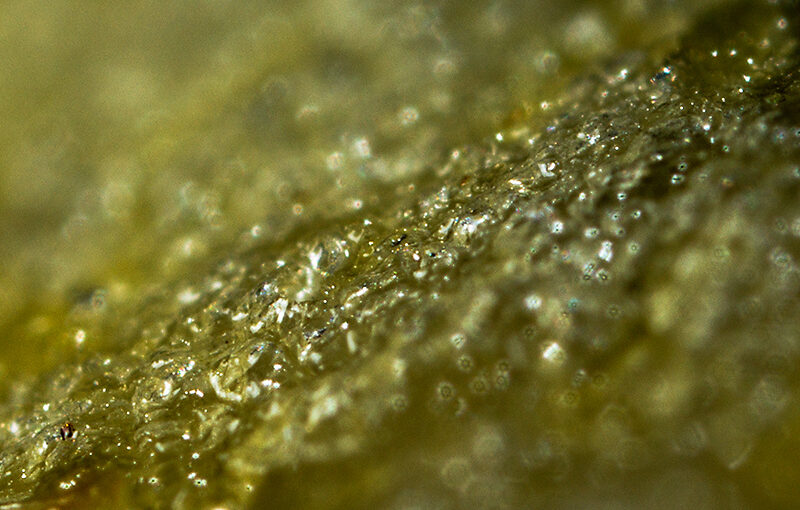 Cropped view of a simple thing