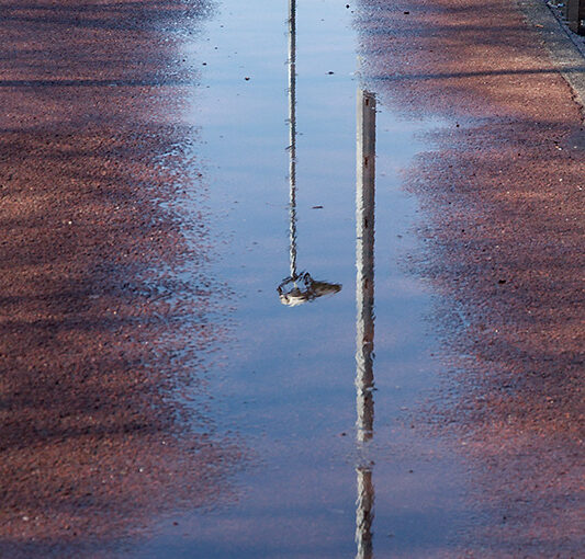 Apr 07 – Reflection on a bicycle path