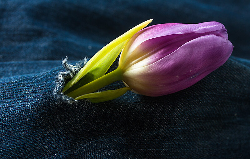 Apr 18 – Hole in pants