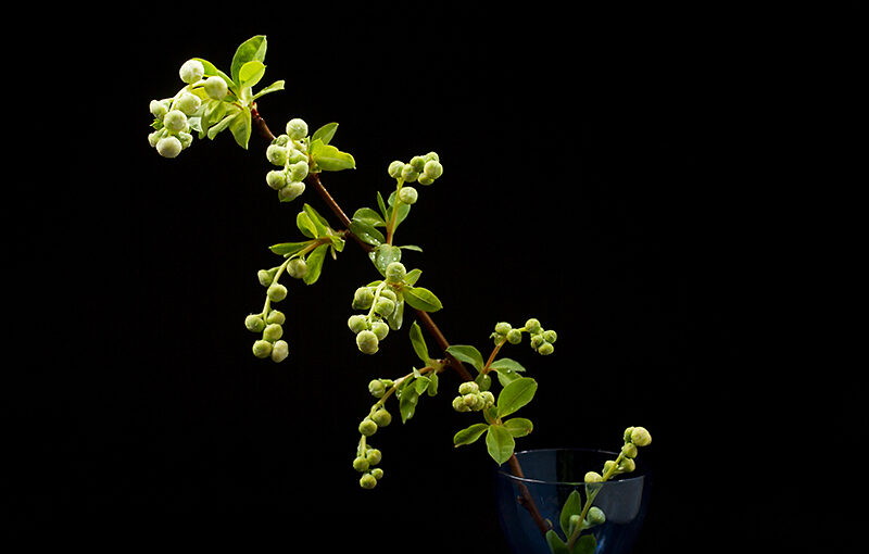 May 04 – Branch
