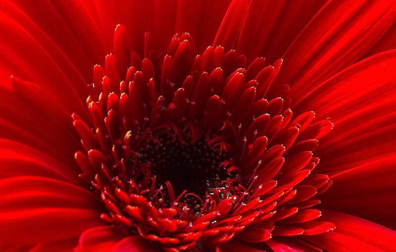 May 11 – Red