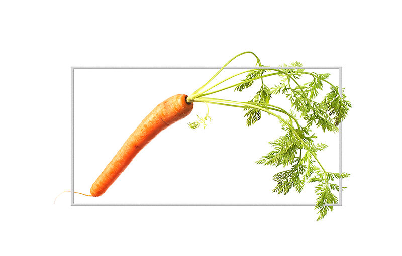 Playing with a carrot