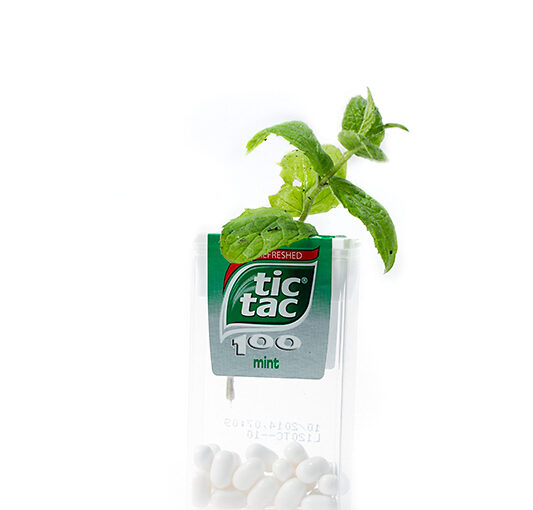 Jun 23 – Mint