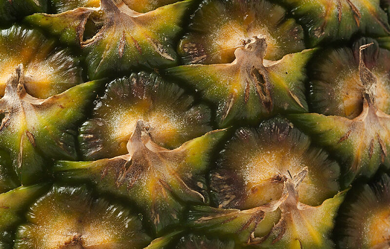 Jul 26 – Pineapple