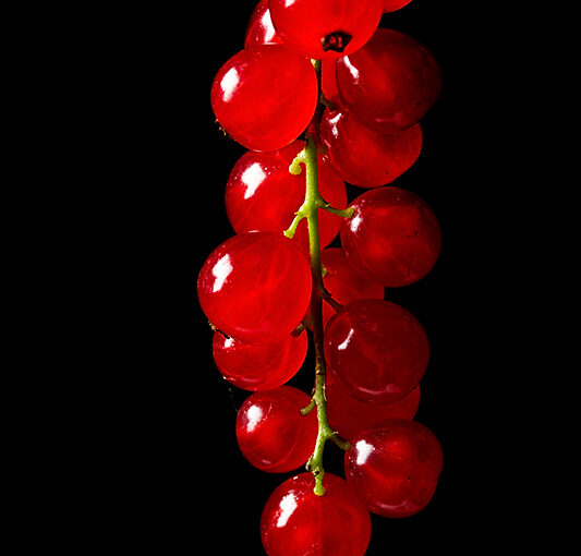 Aug 03 – Redcurrants